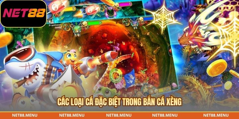 Kiểm tra mục tiêu đặc biệt trong bắn cá xèng