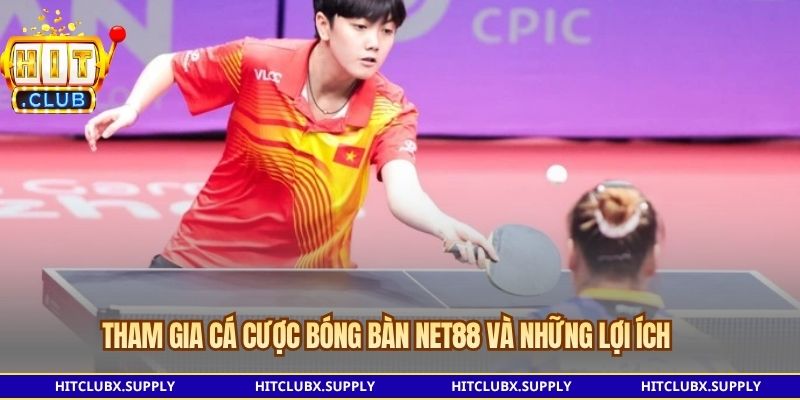 Các loại kèo cá cược bóng bàn NET88