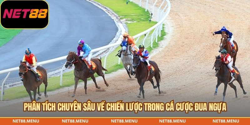 Dữ liệu cần kiểm tra trong cá cược đua ngựa