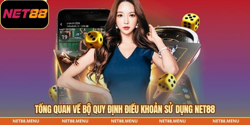 Phạm vi áp dụng của điều khoản truy cập website